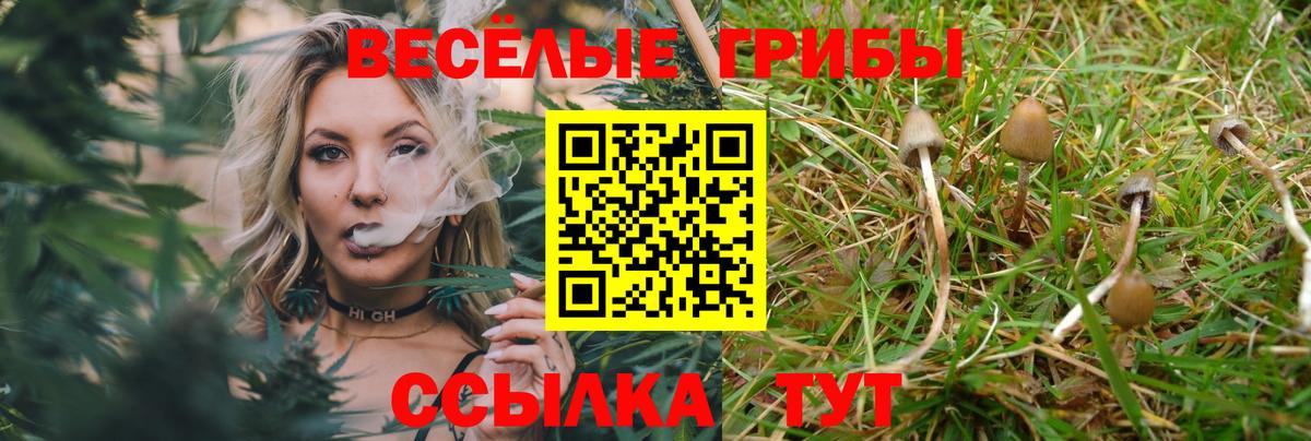 Псилоцибиновые грибы прущие грибы  Вход с VPN  Вичуга 